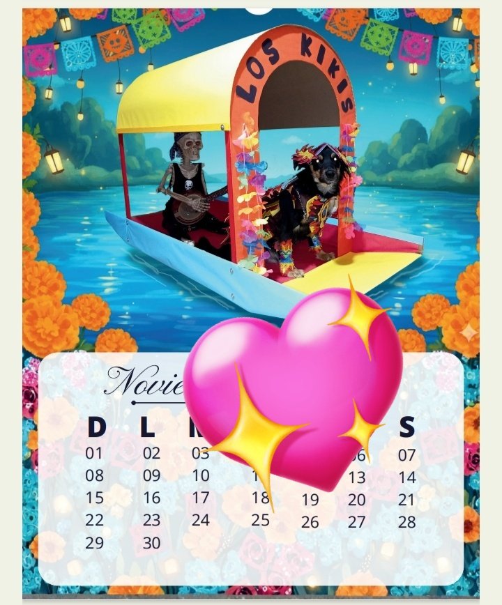 lindo_kiwi's tweet image. Amikos recuerden que tenemos a la venta nuestro calendario 2026, hecho con mucho trabajo y amor, en él encontrarán imágenes como la de diciembre de este año, su compra nos ayuda para juntar para nuestra cena de navidad y año nuevo, además los acompañaremos todo el año 2026