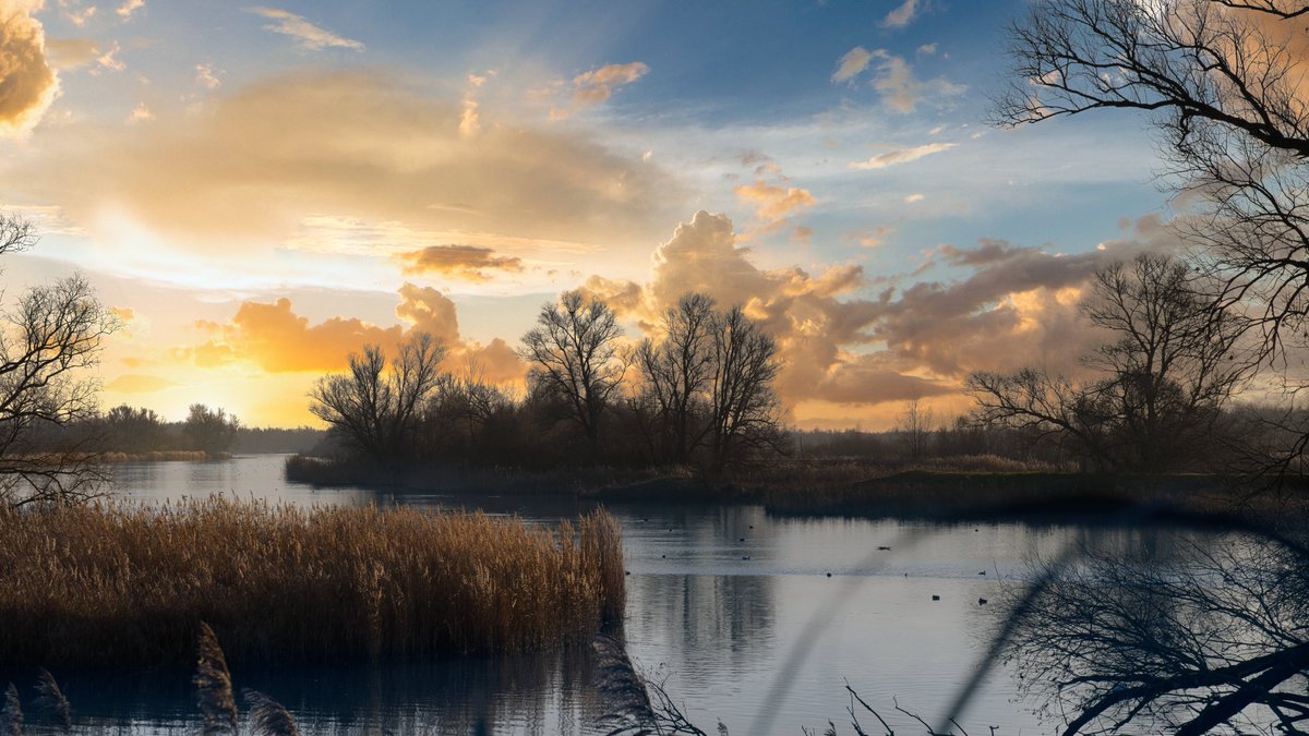 Z6Focus's tweet image. Nationaal Park De Biesbosch...
#goudenuur #biesbosch #sunsetphotography 
picfee.com/nl/fotograaf/Z…