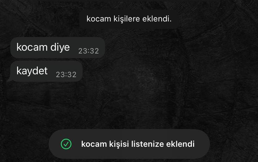 hasret kaldik soyle netliklere