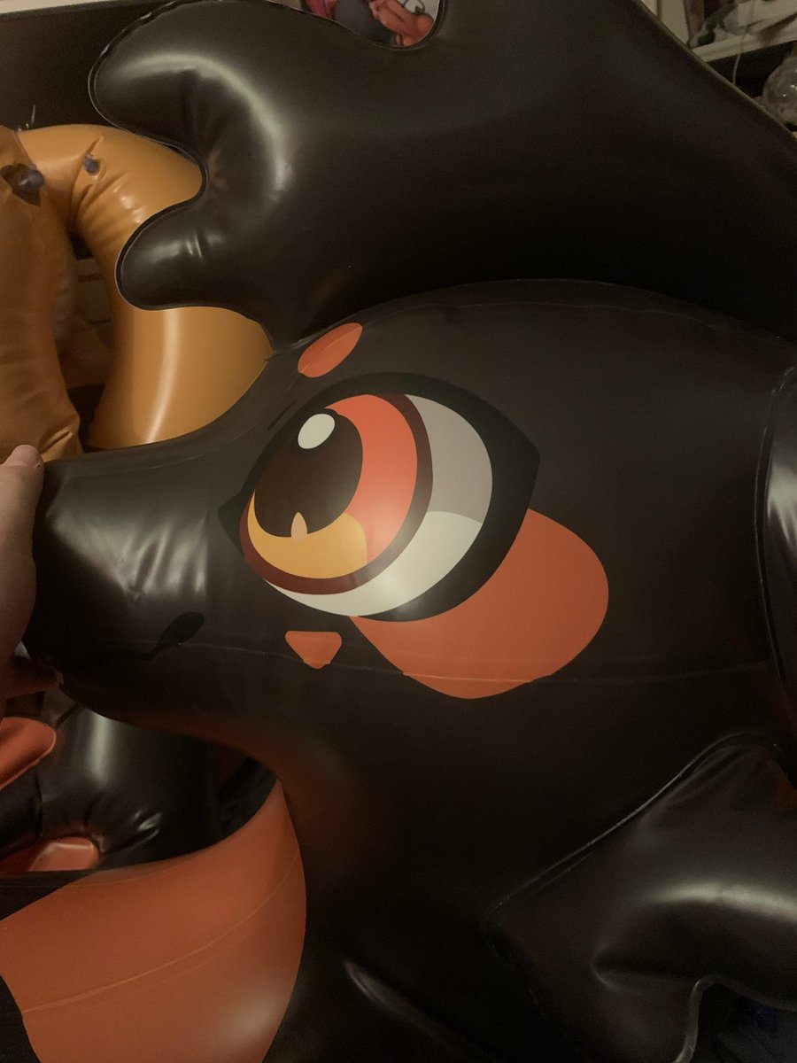 Kohana Coyote tweet media