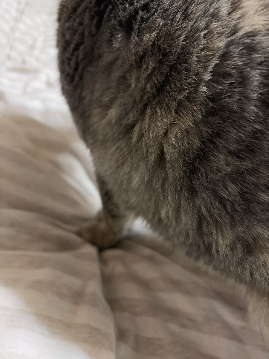 SAK_SAK_SAKUMA 見てきますね🍀*゜ #佐久間のイソスタ