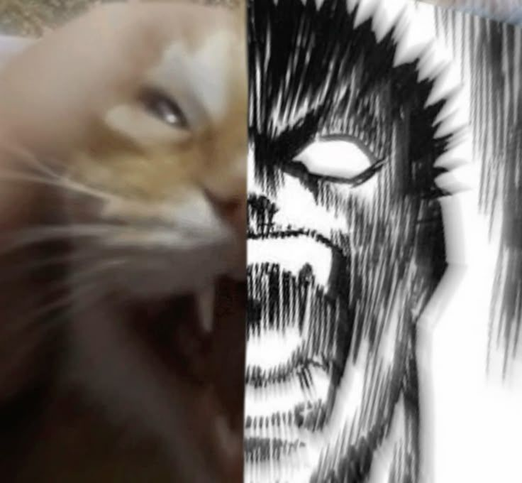 berserksouls tweet media