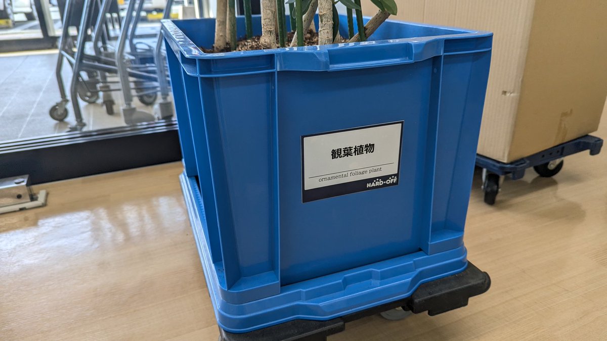 ぽんきち (@ponnkichike) / Posts / X