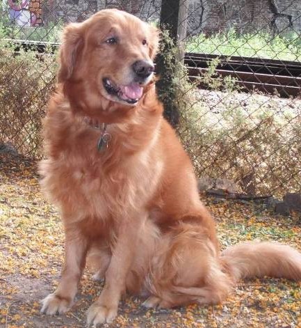 🇦🇷 Bartolo Memitre 🇦🇷 tweet media