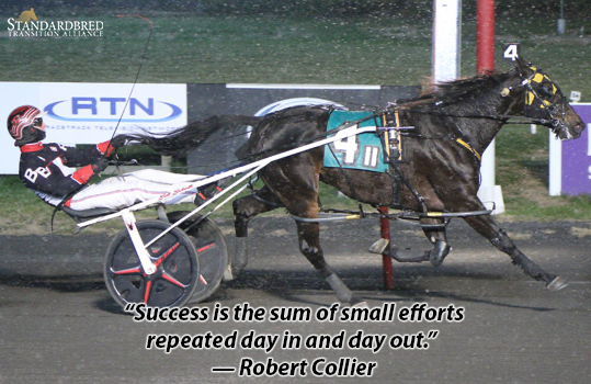 Standardbred Transition Alliance tweet media