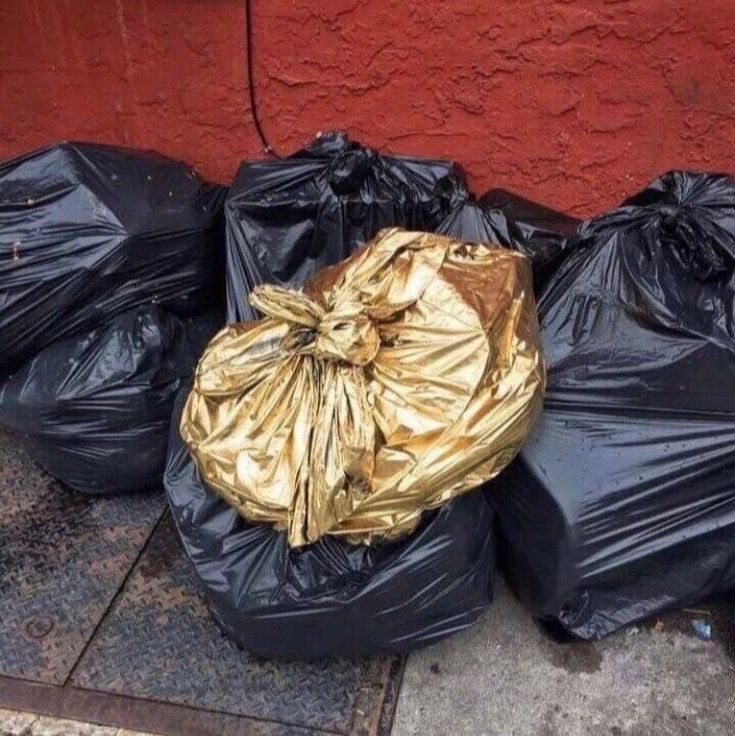 Trash Coin 🗑 tweet media