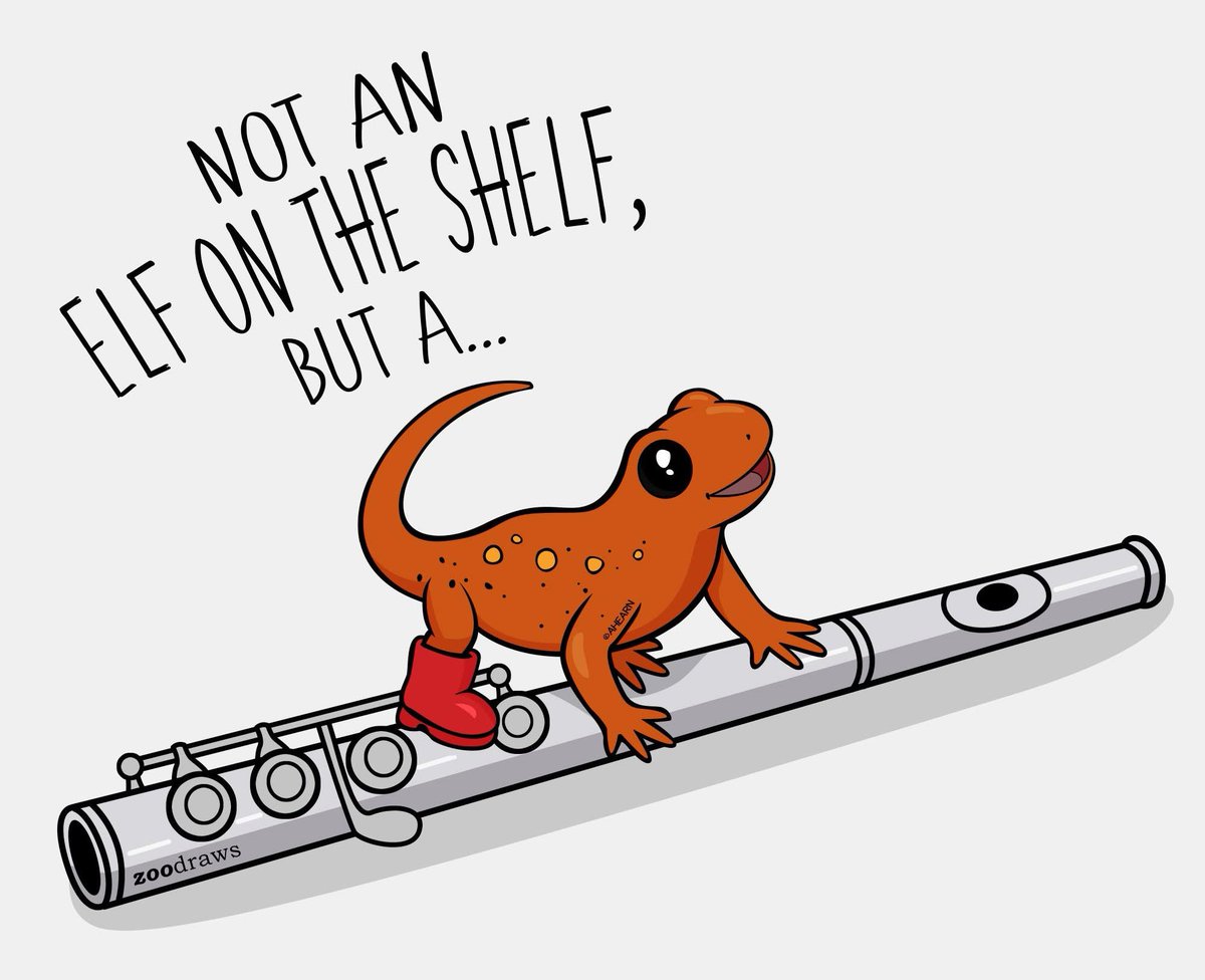 coreyline's tweet photo. Choose your fighter
->Gecko on a piccolo
->Newt in a Boot on a Flute https://t.co/ZfsyDpWN1w