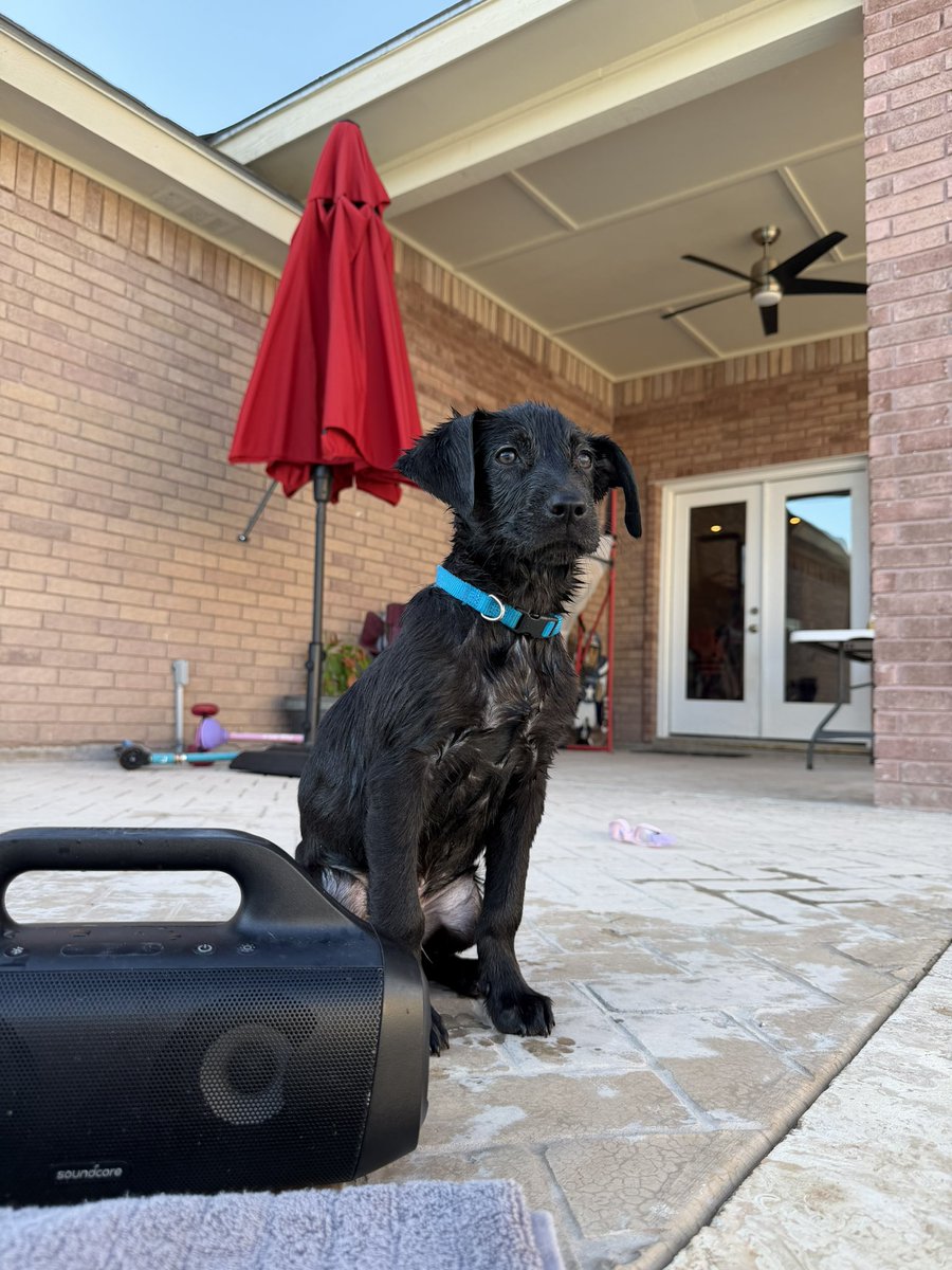 He hates the water but he loves being with me