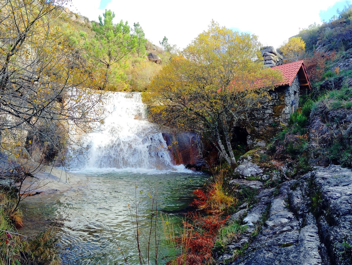 A maxia do Xurés tweet media
