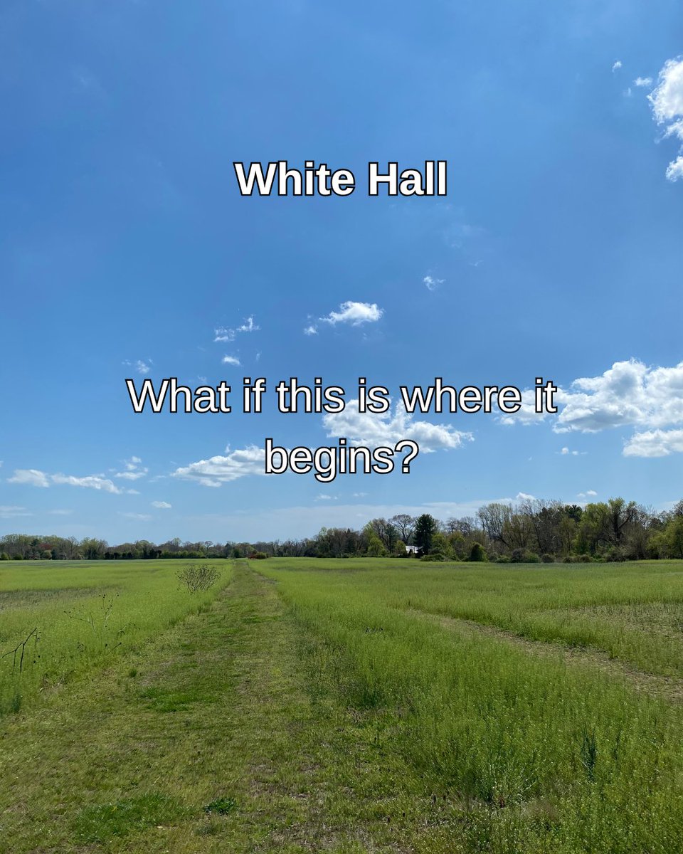 WHTechnologies's tweet photo. Your life could change if you started.
You don’t need permission. 
You don’t need funding. 
You just need to start somewhere.
See your idea as an app → https://t.co/JN9JBUYpaX https://t.co/29CBj5ASjV