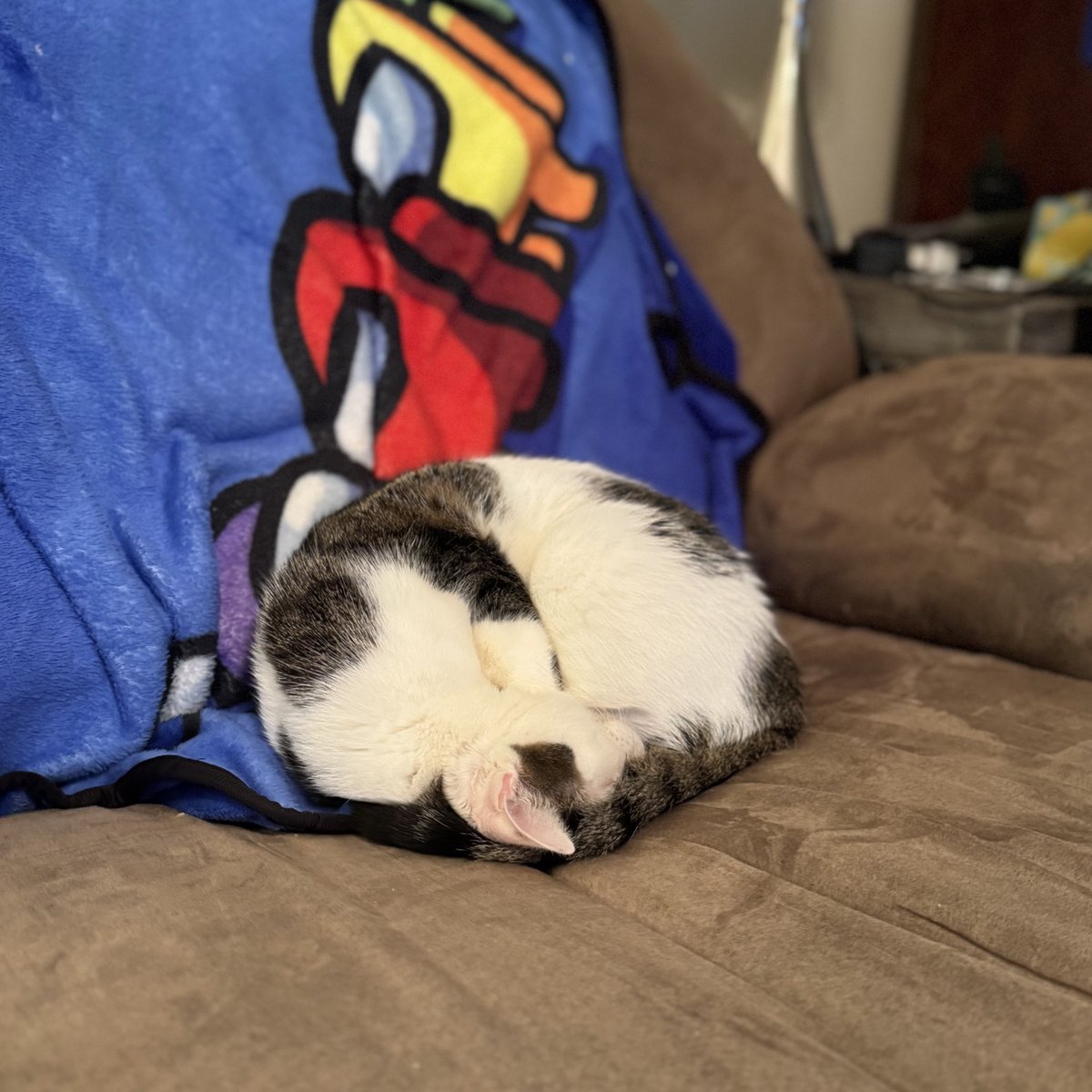 ccurrin93's tweet image. Round