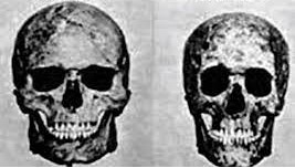 Bio.Science ∴ tweet media