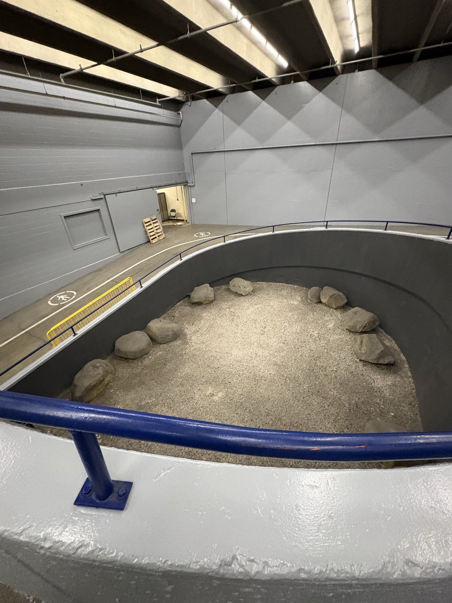 Steve Ewen tweet media