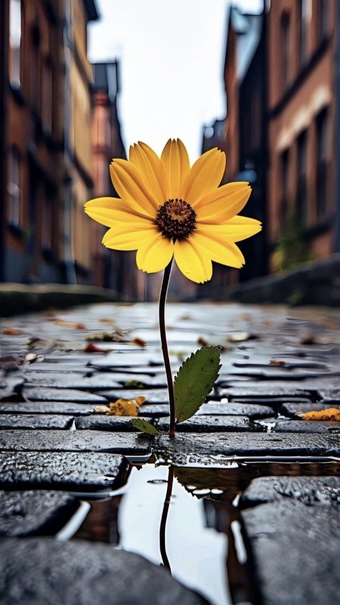 Dışımız dünyaya gülümsüyorken,
İçimiz kan ağlıyor