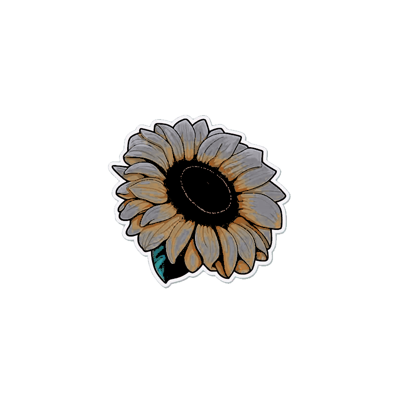 ‍‍ ‍‍ ‍ ‍* 𝓗𝖎𝖒𝖆𝖜𝖆𝖗𝖎。.ᐟ ‍‍ ‍ ‍ ‍ ‍‍ ‍ tweet media