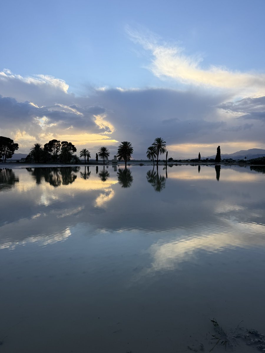 jorloan's tweet image. Contraste de paisajes inundados después de las lluvias de ayer en el Valle del Guadalentin.  Las lluvias de hasta 220 mm ayer, equivale a precipitación de todo un año en nuestro clima árido. #SaladaresDelGuadalentin #PaisajeAgricola #Agricultura