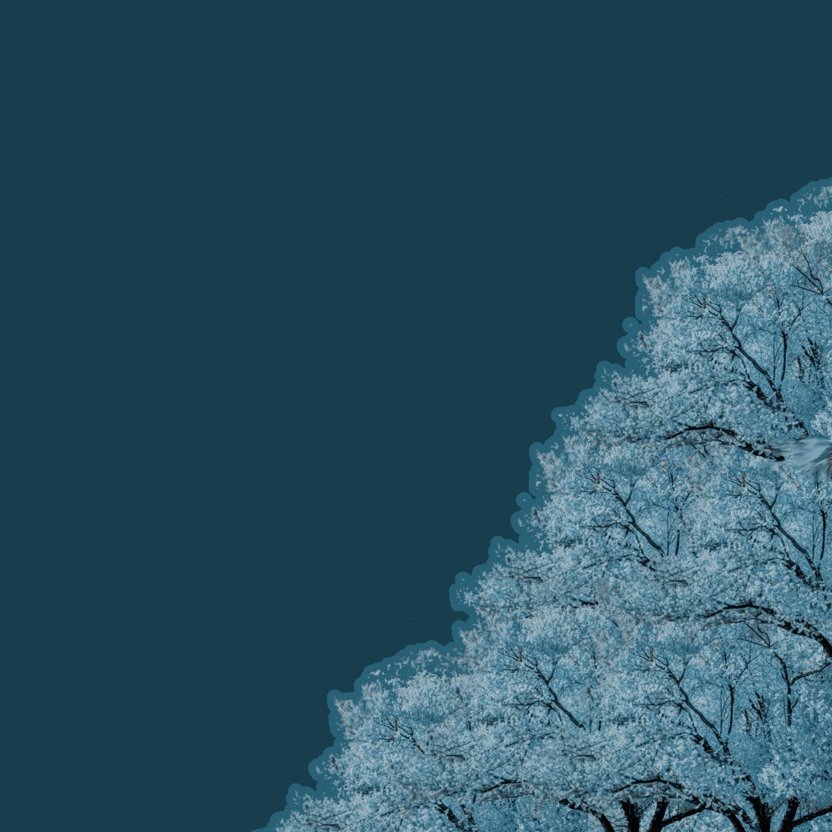 wstdtime tweet media