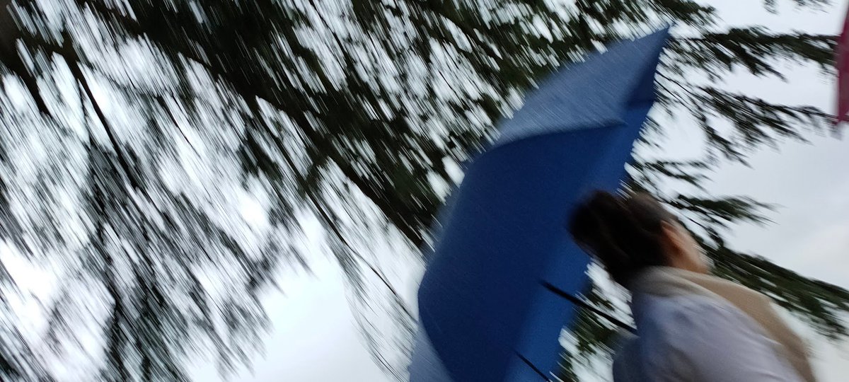 Anohni - 4 Degrees

youtu.be/Fi0q0O4V5Qs?si…

©️moi