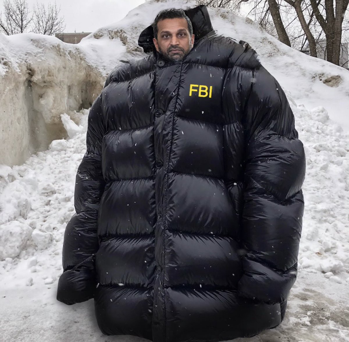 TJ Adams-Falconer tweet media