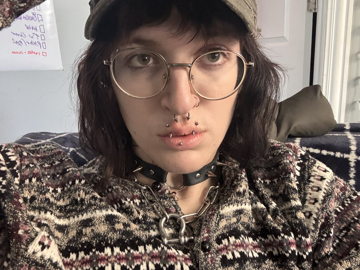 june lux🐶🦴 tweet media