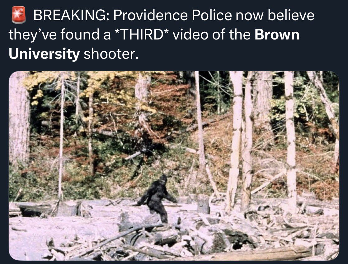 MantisDank tweet media