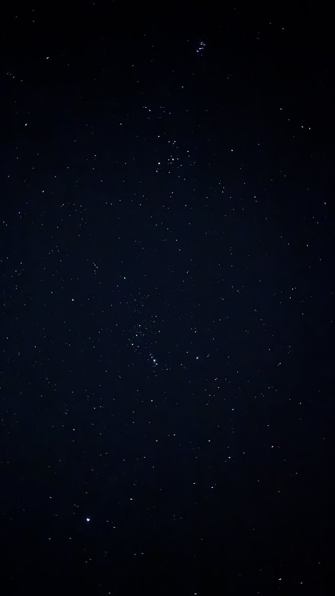 أروى tweet media