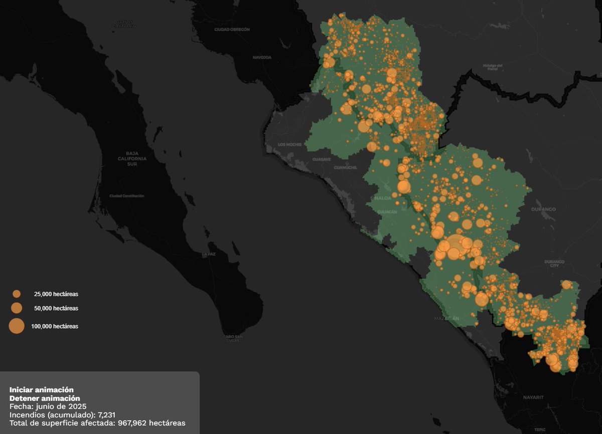 HuasoBB's tweet image. While most forest fires in Sinaloa usually occur during the dry months between March and June, this year they occurred between September and February, due to fires started by explosives related to the Sinaloa Cartel war.

eluniversal.com.mx/grafico/period…