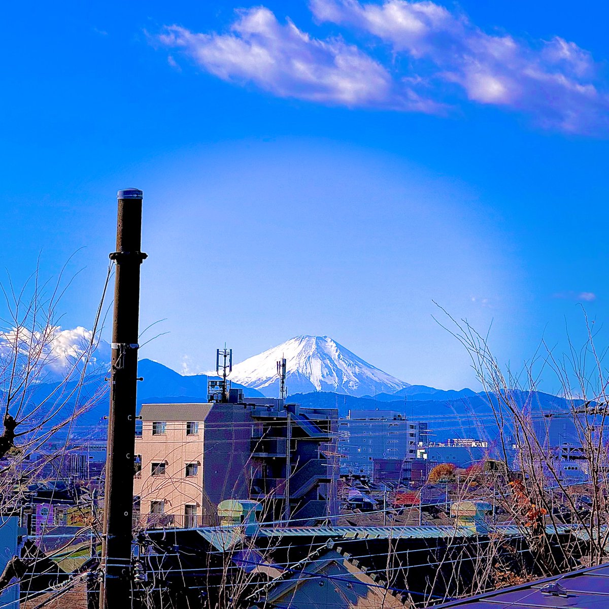 おはようございます😊 12月16日（火） 東京 ☀️💧10% 🌡2→12℃ 本日と