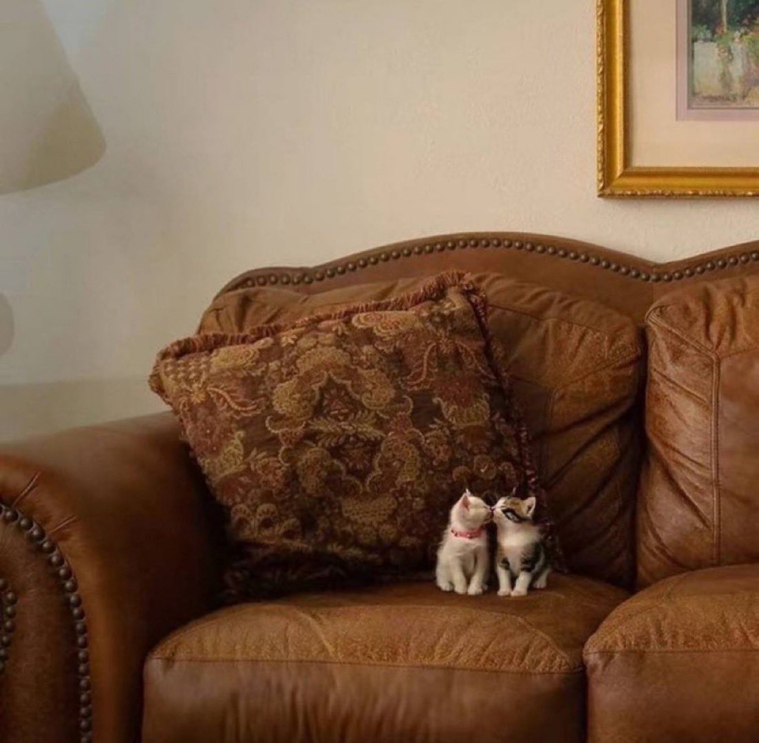 سلمان (@_sssba) on Twitter photo 