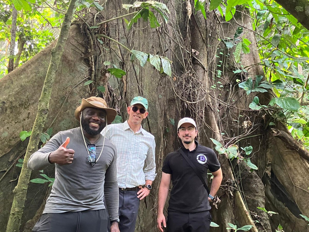 Henry O.🌴 tweet media