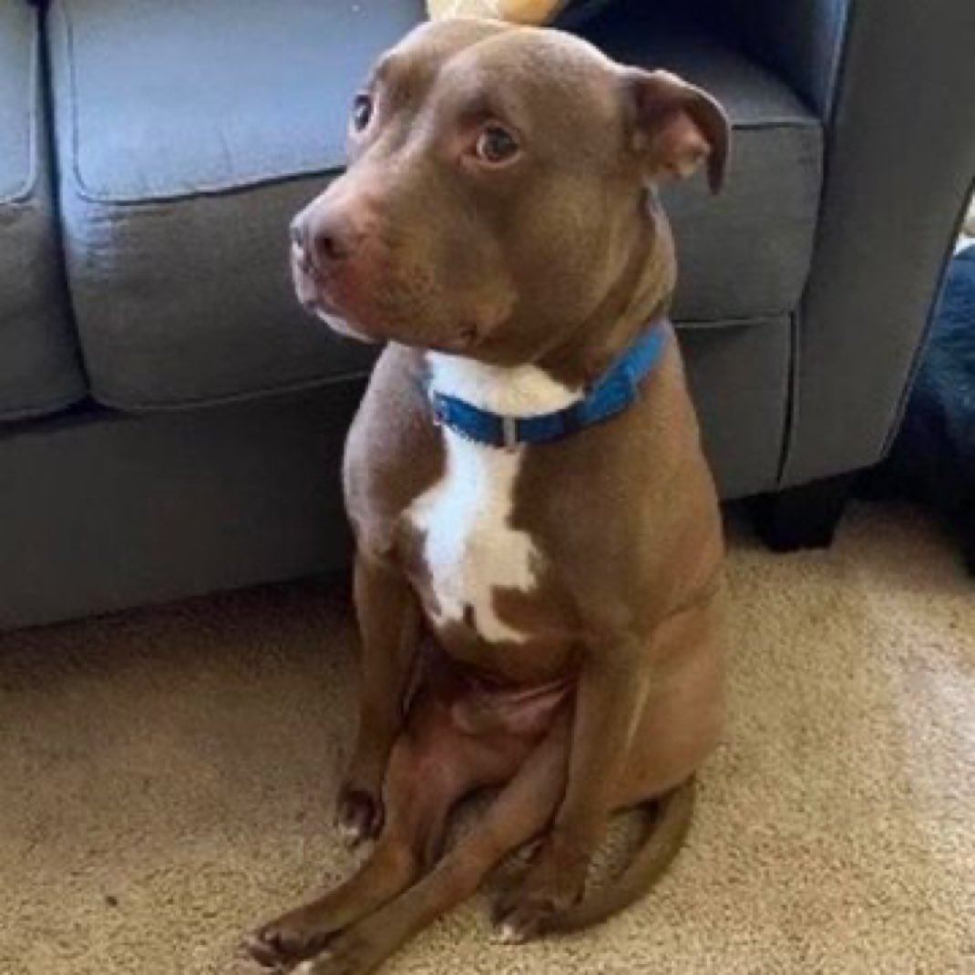 O6ios's tweet image. será q eu realmente gosto tanto assim de dormir ou estou com anemia