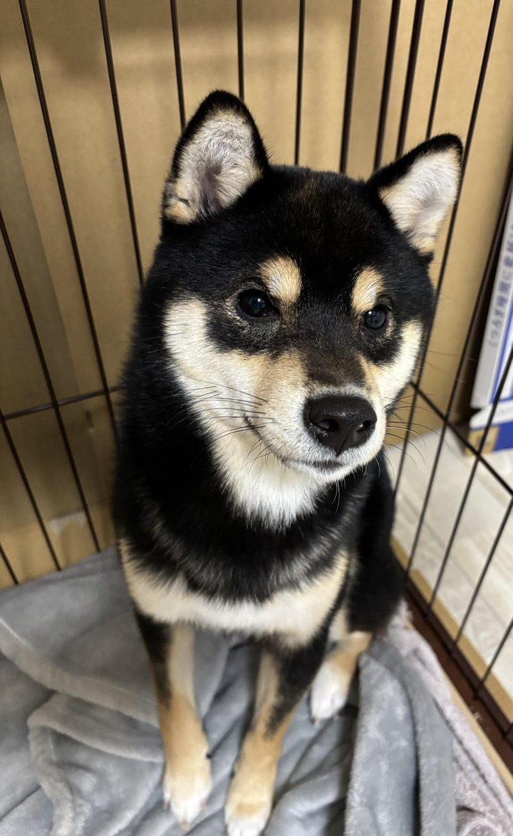 おはようございます
今日はのんびりスタートしょうか？