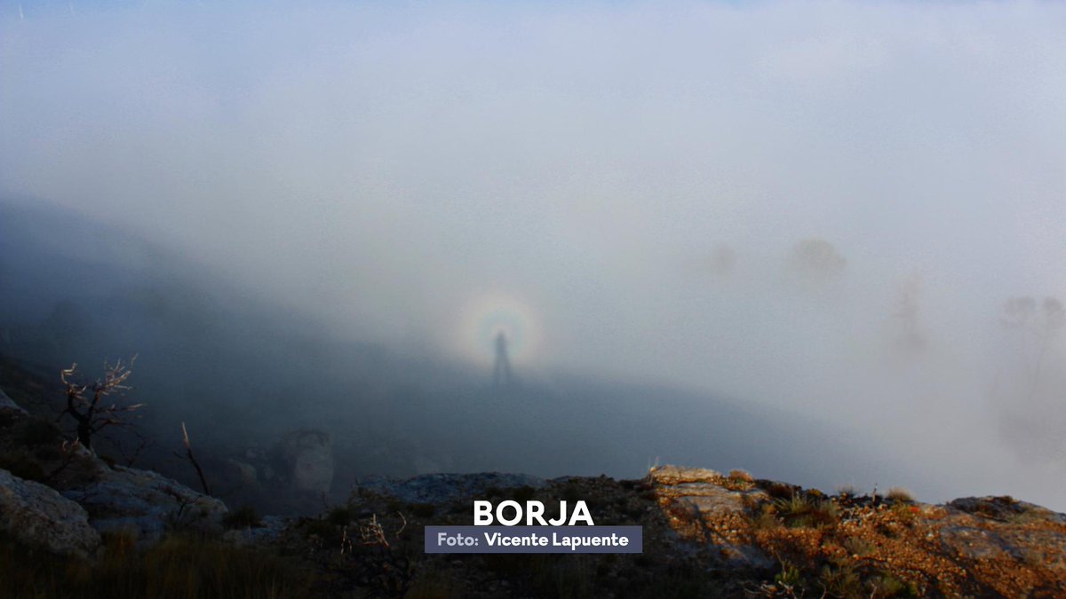 Aragón TV El Tiempo tweet media