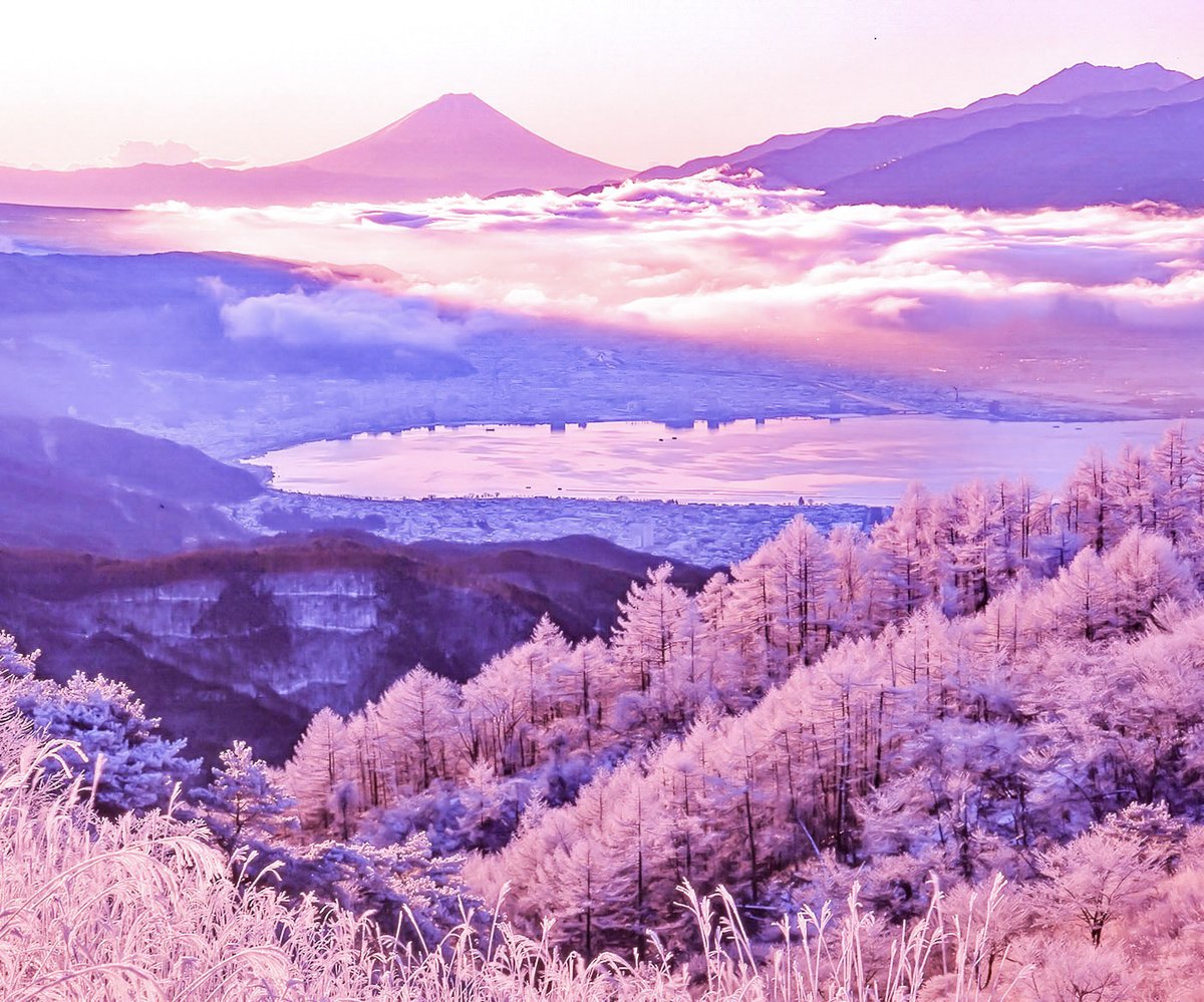 霧氷染まる朝

高ボッチ高原で以前撮影
#富士山　#霧氷　#雲海