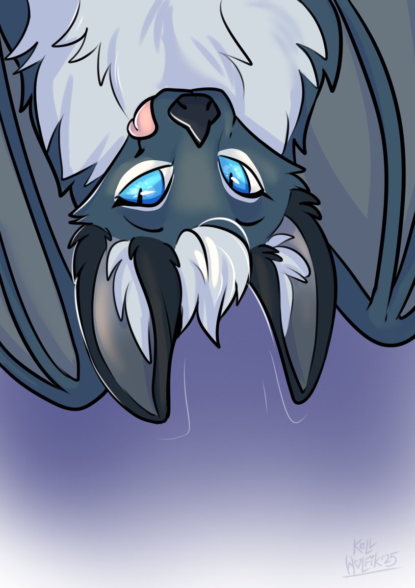 philippsilver's tweet image. Flying Fox
Happy Birthday gift from @Kellwolfik 🩵