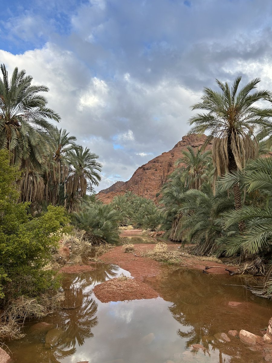 _hail77's tweet photo. جنه يـ حايل ولو كنتي جفاف
وشلون اجل لا صارت الدنيا مطر https://t.co/R4T4mPSokW