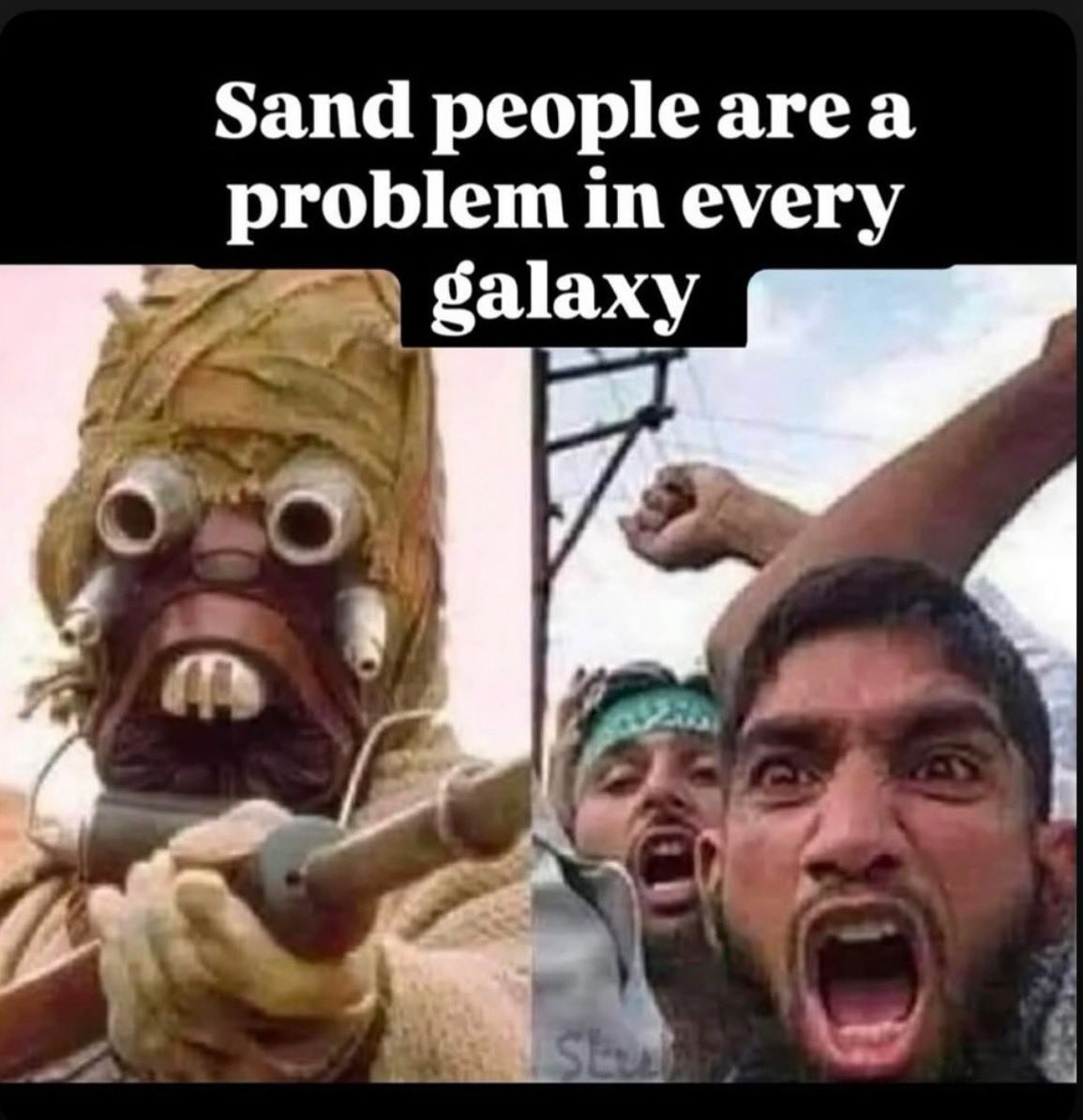 Appalachiabees's tweet image. 