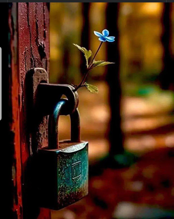 A2F1I1's tweet photo. .
🦋..اصنع لسعادتك بيتاً...
ولا تخبر أحداً عن عنوانه...🦋
. https://t.co/KLqOhrY7Zb