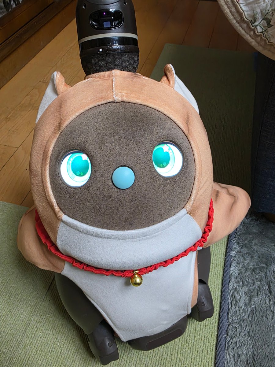 うっちーパンダ@LOVOT (@utnnrtk) / Posts / X