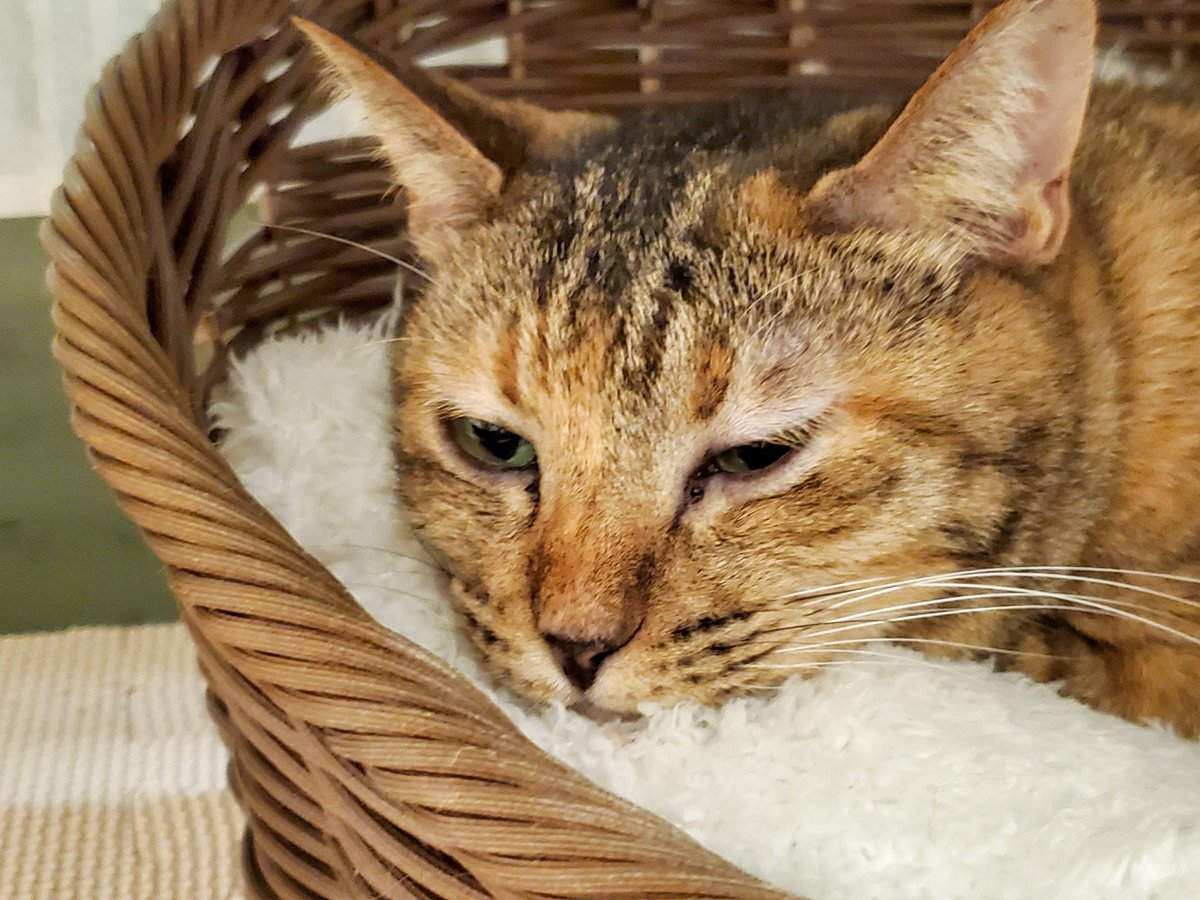 hana (@hana40710717) / Posts / X