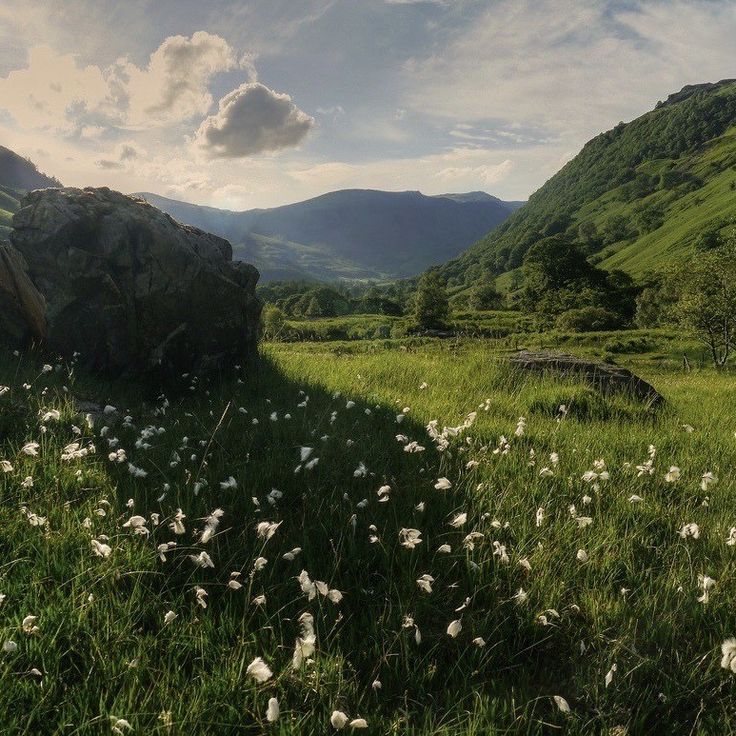 greenvibe's tweet image. 