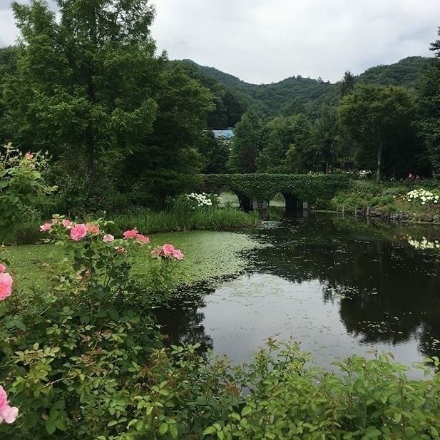 greenvibe's tweet image. 