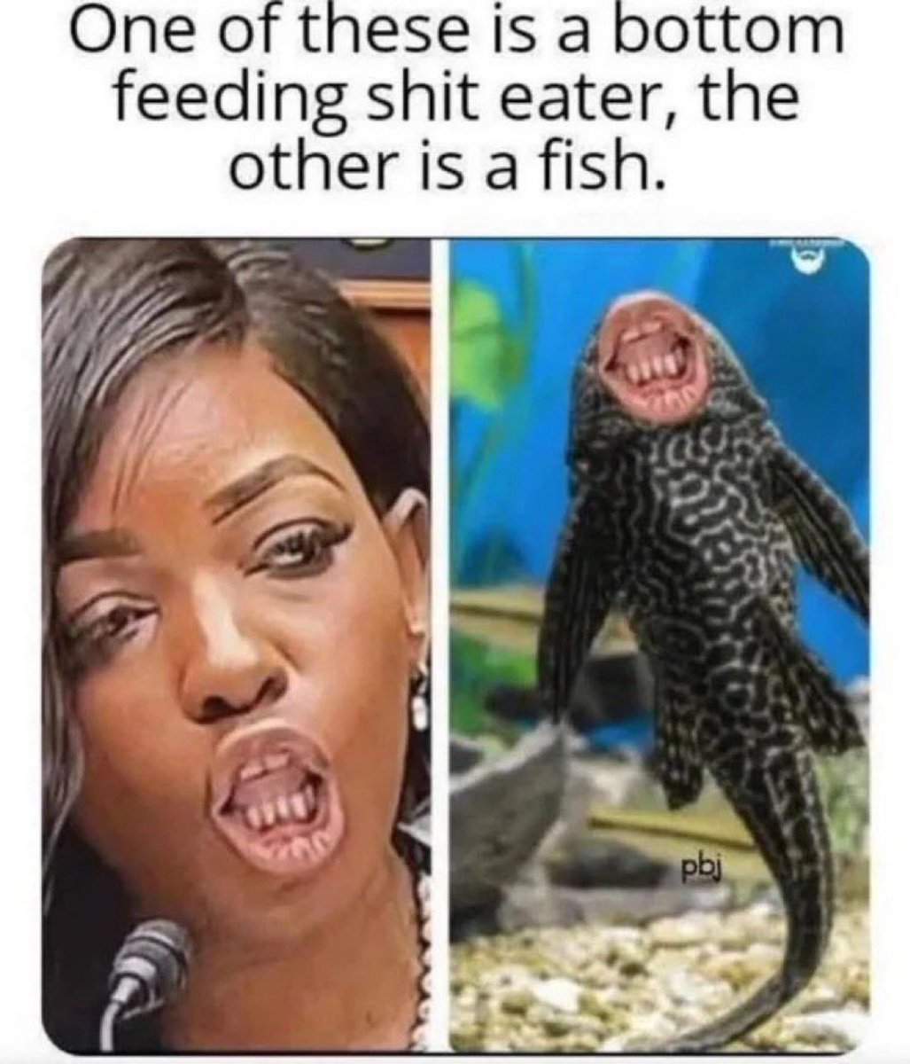 <a href="/JasmineForUS/">Jasmine Crockett</a> Sit down