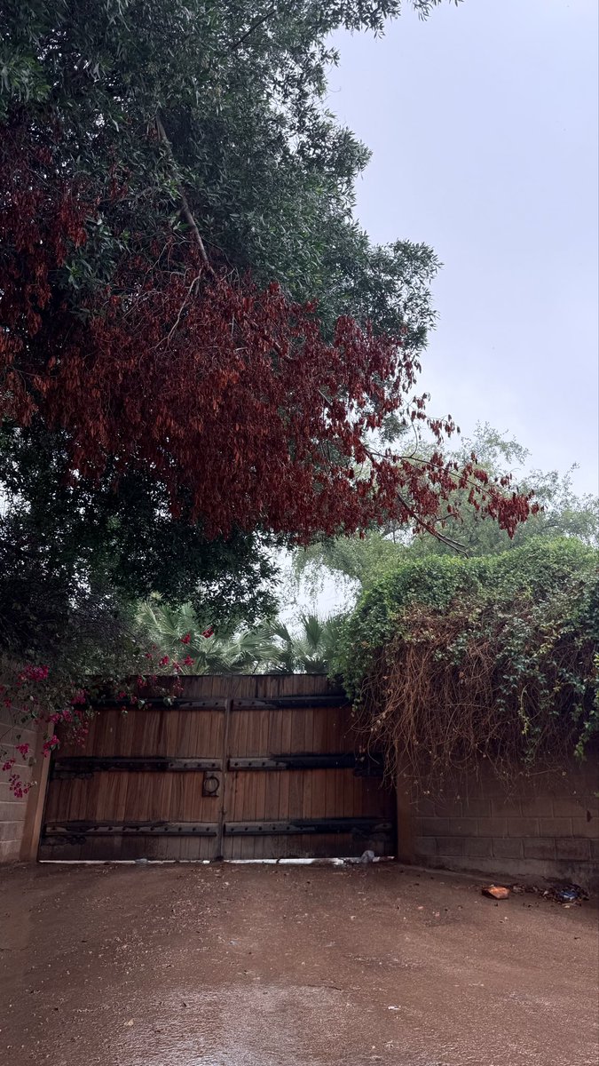 a_alamri21's tweet photo. شتوية الرياض☁️ https://t.co/Gdi9hZ5q0f