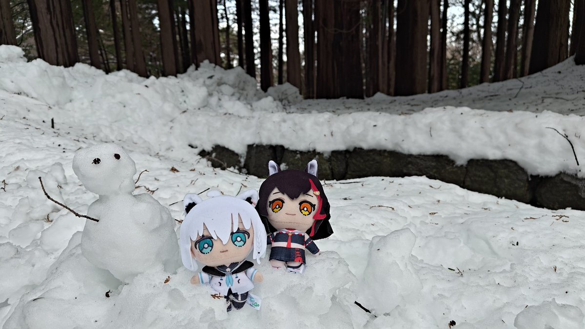 ken71wing's tweet photo. 北海道の森の住人
北海道神宮
#すこん部 https://t.co/asmZlAJyWk