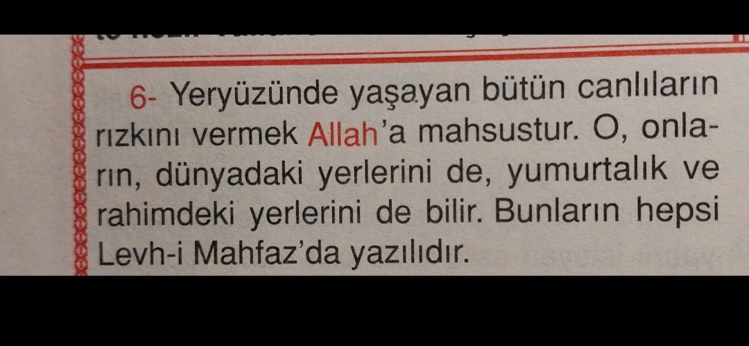 turkuaz tweet media