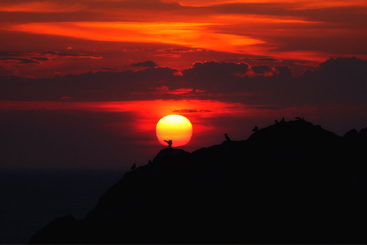 We need Light over Darkness. 
We need Empathy over Callousness. 
We need Respect over Disrespect.
We need Compassion over Indifference. 
❤️❤️🙏🙏