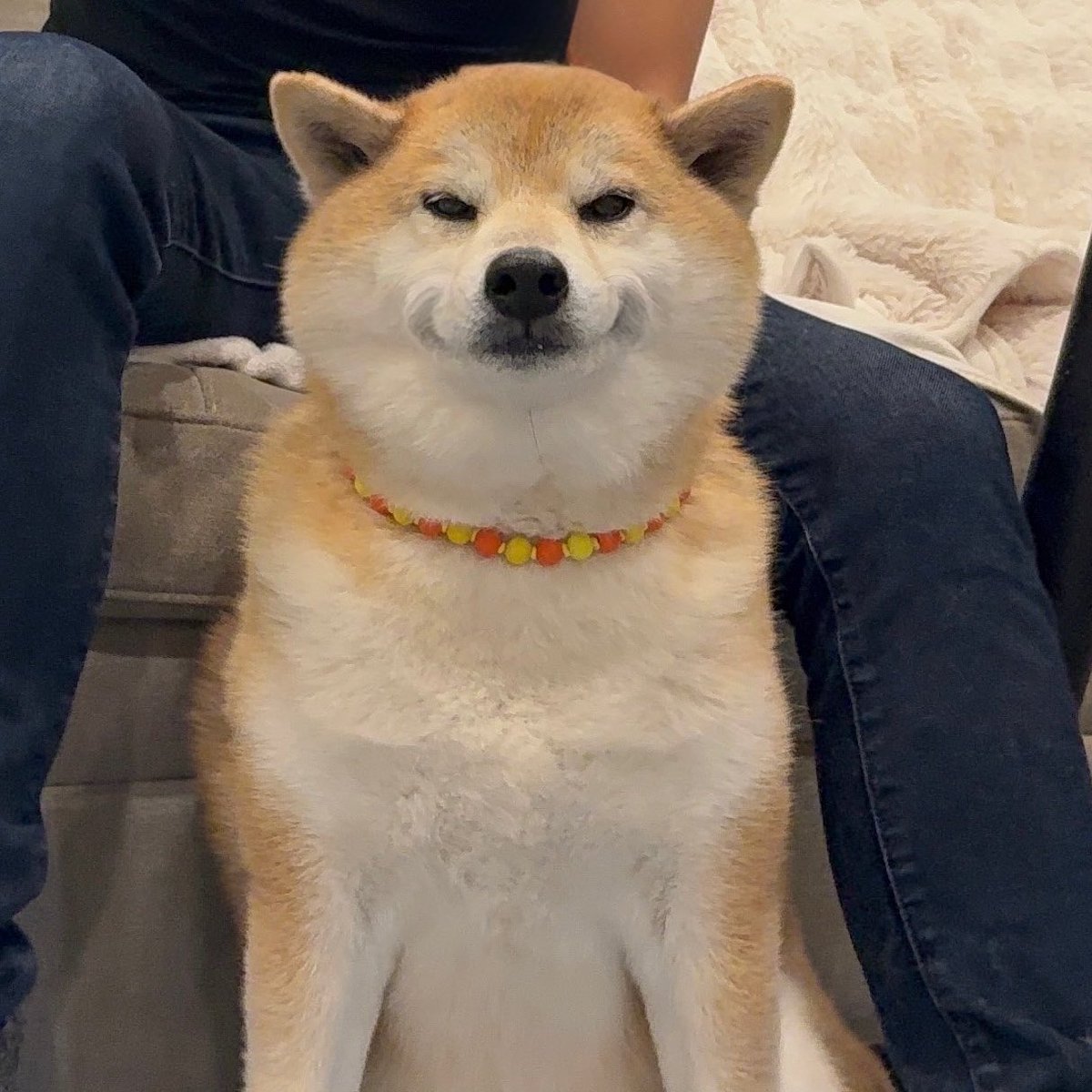 もちごめページ IRmkb9aQLvcOybvWYd0ATnqAX04g6m