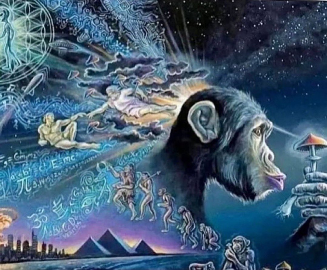 magnezyum içtiğimiz gece rüyalar