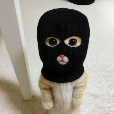 #NoweProfilowe